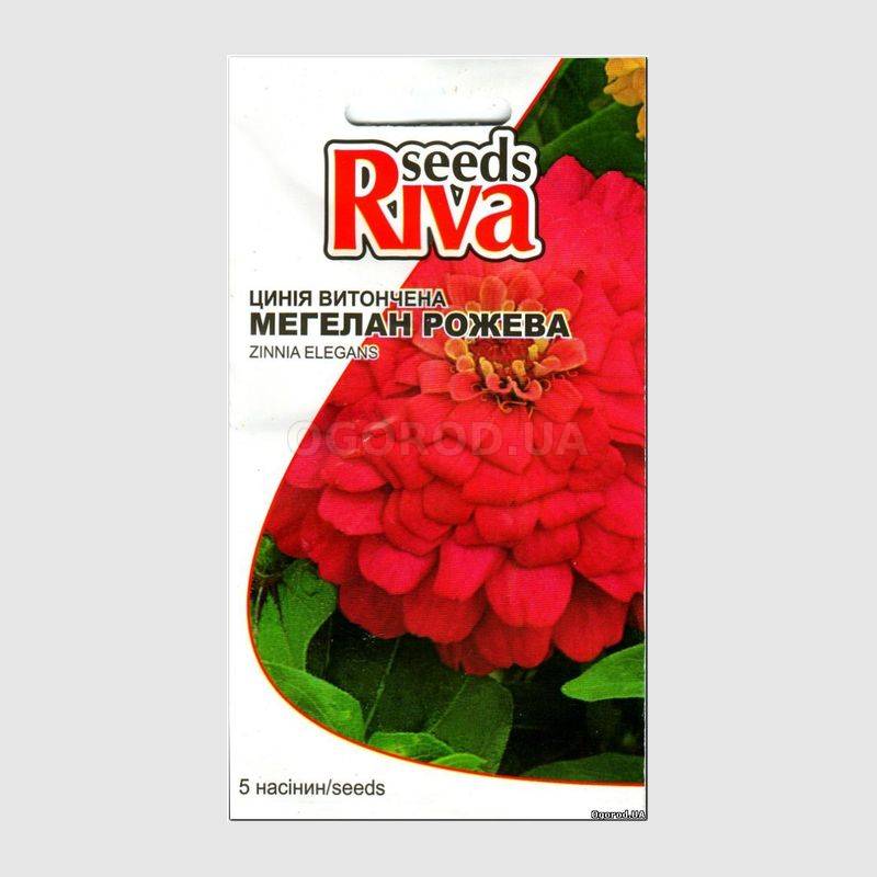 Кликните для увеличения изображения Семена циннии изящной розовой «Магеллан», ТМ Syngenta - 5 семян
