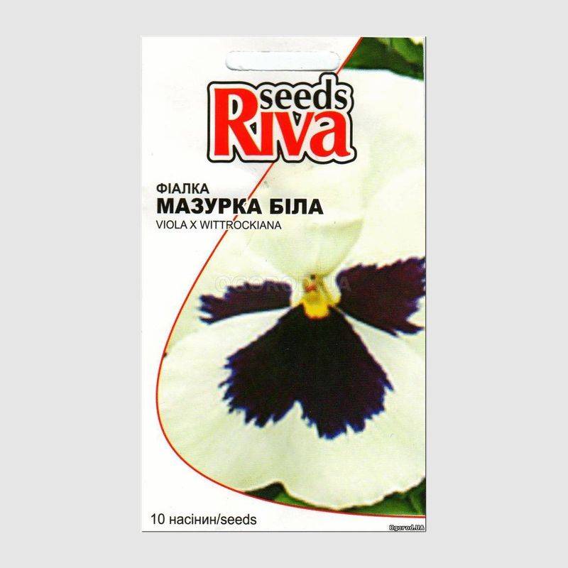 Кликните для увеличения изображения Семена виолы белой «Мазурка», ТМ Kitano - 10 семян