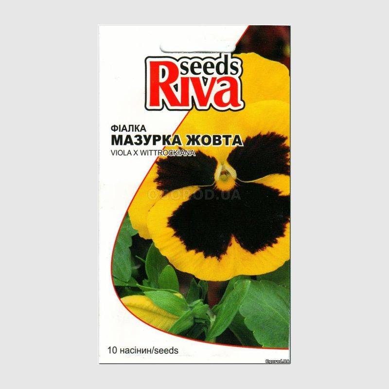 Кликните для увеличения изображения Семена виолы желтой «Мазурка», ТМ Kitano - 10 семян