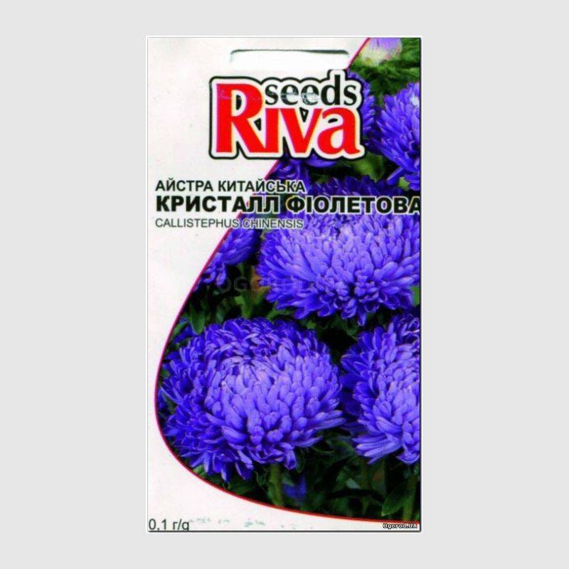 Кликните для увеличения изображения Семена астры фиолетовой «Кристалл», ТМ Kitano seeds - 0,1 грамм