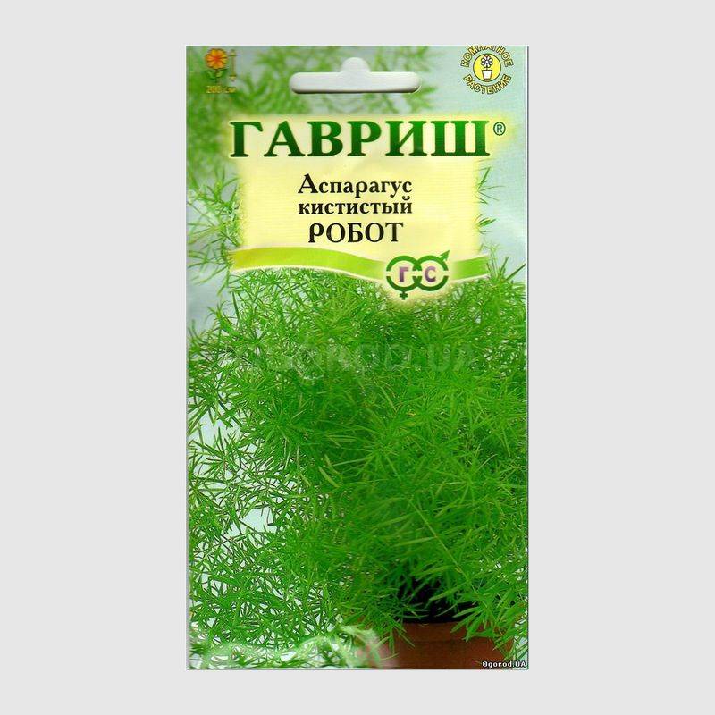Кликните для увеличения изображения Семена аспарагуса «Робот», ТМ «ГАВРИШ» - 0,3 грамма