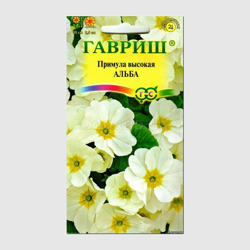 Кликните для увеличения изображения Семена примулы высокой «Альба», ТМ «ГАВРИШ» - 0,05 грамм