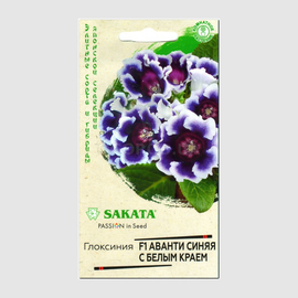 Семена глоксинии «Аванти синей с белым краем» F1 / Sinningia speciosa, ТМ SAKATA - 5 семян