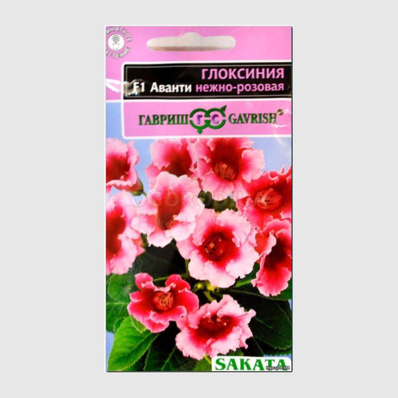 Кликните для увеличения изображения Семена глоксинии «Аванти» нежно-розовой, ТМ SAKATA - 5 семян