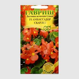 Семена бегонии вечноцветущей «Амбассадор Скарлет» / Begonia semperflorens, ТМ «ГАВРИШ» - 4 семечка