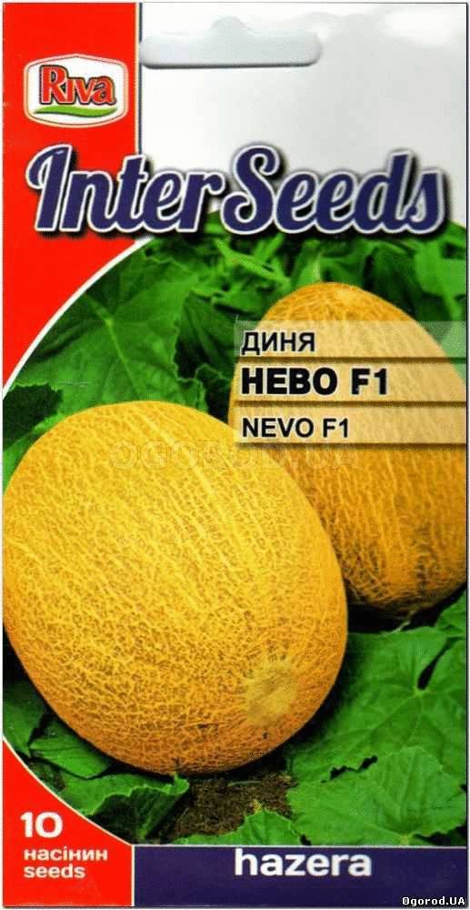 Кликните для увеличения изображения Семена дыни «Нево» F1, ТМ Hazera - 10 семян