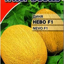Семена дыни «Нево» F1, ТМ Hazera - 10 семян