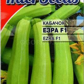 Семена кабачка «Эзра» F1 / Ezra F1, ТМ Hazera - 5 семян