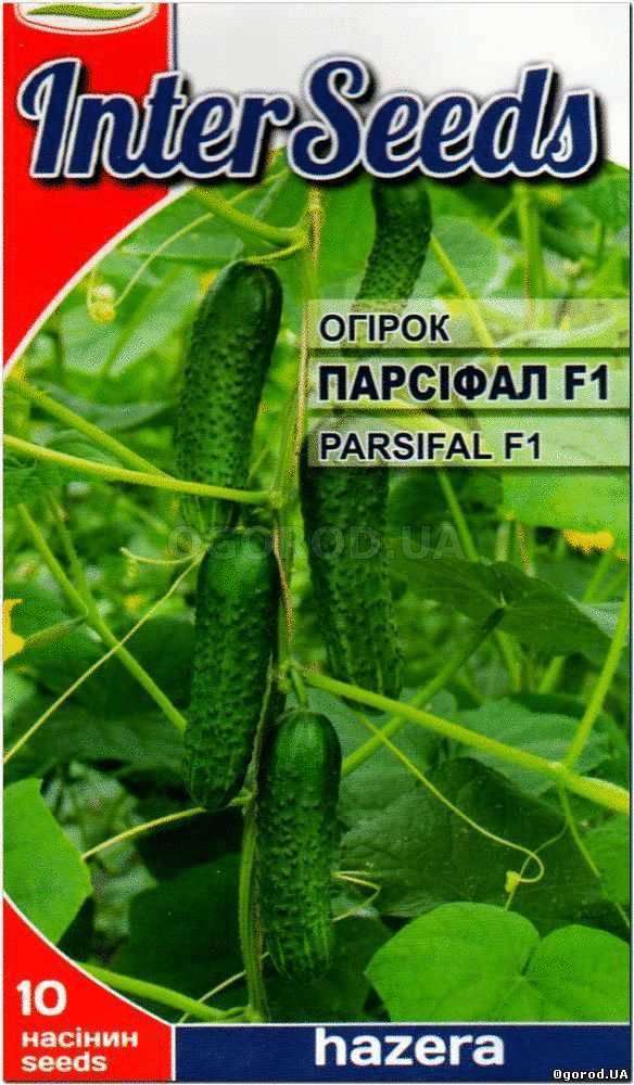 Кликните для увеличения изображения Семена огурца «Парсифал» F1 / PARSIFAL F1, ТМ Hazera - 10 семян