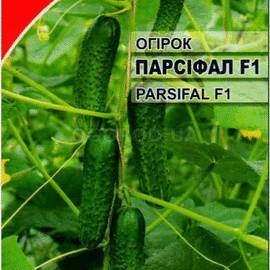 Семена огурца «Парсифал» F1 / PARSIFAL F1, ТМ Hazera - 10 семян