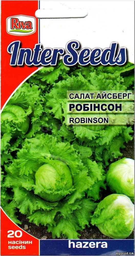 Кликните для увеличения изображения Семена салата «Робинсон» (Айсберг) F1, ТМ Hazera - 20 семян