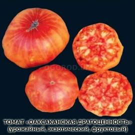 Семена томата «Oaxacan Jewel» (Оаксаканская драгоценность), серия «От автора» - 10 семян