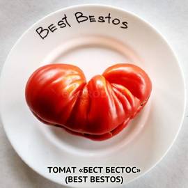 Семена томата «Best Bestos» (Бест Бестос), серия «От автора» - 10 семян