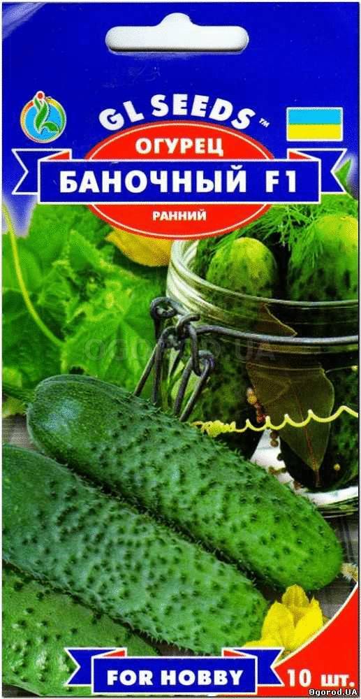 Кликните для увеличения изображения Семена огурца «Баночный» F1, ТМ GL Seeds - 10 семян
