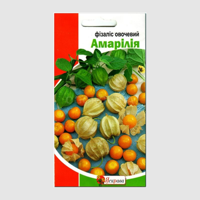 Кликните для увеличения изображения Семена физалиса «Амарилия», ТМ «Яскрава» - 0,3 грамма
