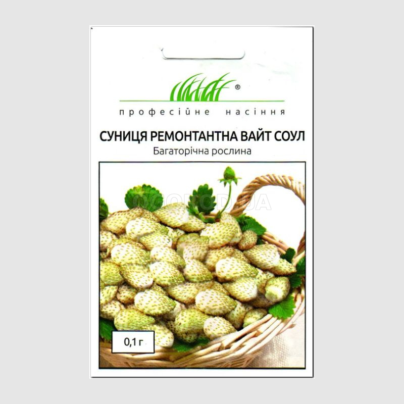Кликните для увеличения изображения Семена земляники ремонтантной «Вайт Соул», ТМ Hem Zaden - 0,1 грамм