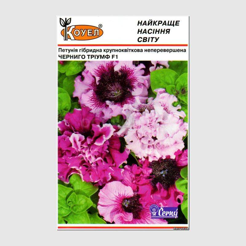 Кликните для увеличения изображения Семена петунии крупноцветковой «Черныго Триумф» F1, ТМ Cerny - 10 семян