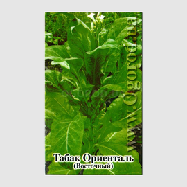 Семена табака «Oriental» (Ориенталь), ТМ OGOROD - 2500 семян (ОПТ - 10 пакетов по 250 семян)