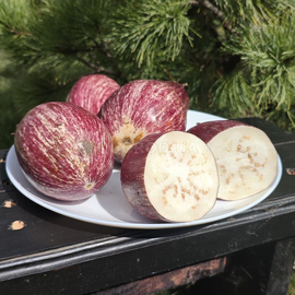 Кликните для увеличения изображения