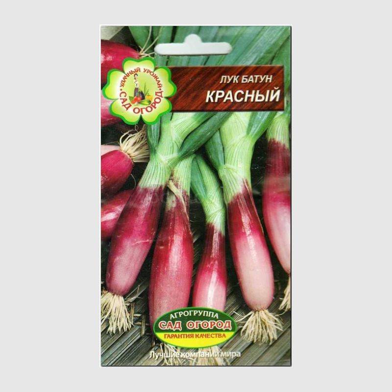 Кликните для увеличения изображения Семена лука «Красный» (батун), ТМ Агрогруппа «САД ОГОРОД» - 0,3 грамма