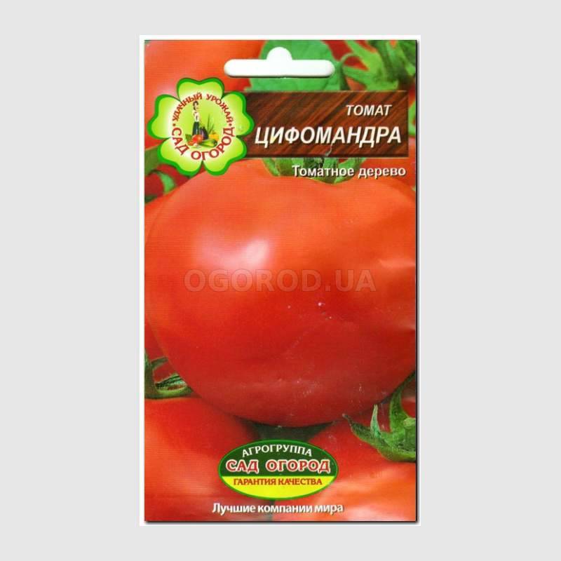 Кликните для увеличения изображения Семена томата «Цифомандра», ТМ Агрогруппа «САД ОГОРОД» - 0,1 грамм