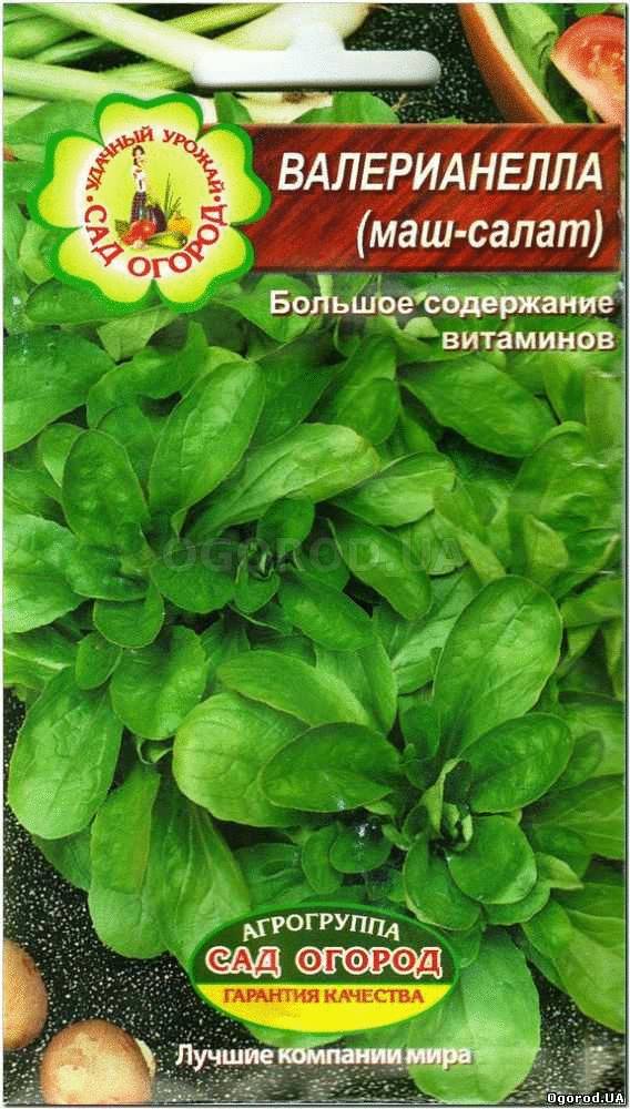 Кликните для увеличения изображения Семена валерианеллы (маш-салат), ТМ Агрогруппа «САД ОГОРОД» - 1 грамм