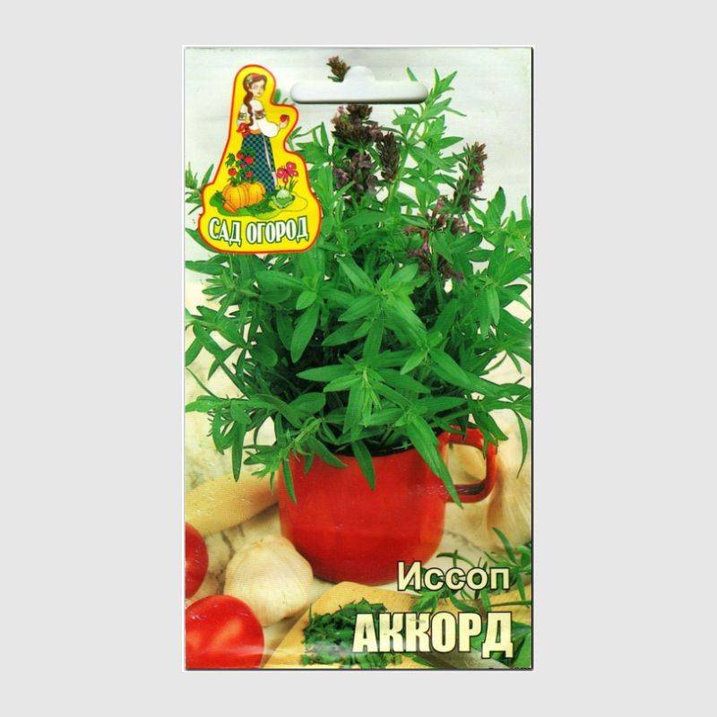 Кликните для увеличения изображения Семена иссопа «Аккорд», ТМ Агрогруппа «САД ОГОРОД» - 0,2 грамма