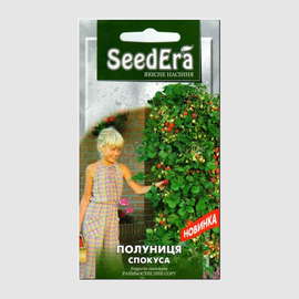 Семена клубники «Соблазн», ТМ SeedEra - 0,01 грамм