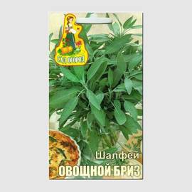 Семена шалфея «Овощной бриз», ТМ Агрогруппа «САД ОГОРОД» - 0,2 грамма