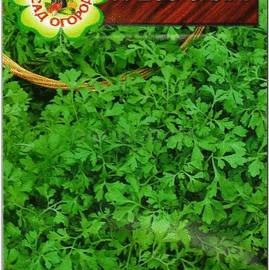 Семена салата (кресс), ТМ Агрогруппа «САД ОГОРОД» - 2 грамма