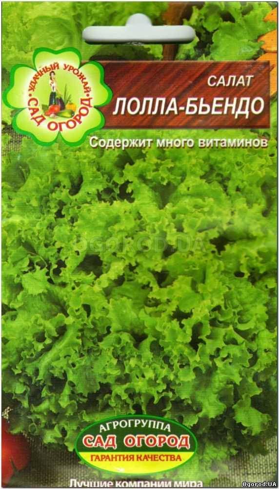 Кликните для увеличения изображения Семена салата «Лолла-Бьендо», ТМ Агрогруппа «САД ОГОРОД» - 1 грамм