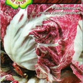Семена салата «Раковые шейки» (цикорий), ТМ Агрогруппа «САД ОГОРОД» - 1,5 грамм