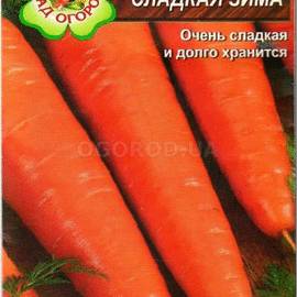 Семена моркови «Сладкая зима», ТМ Агрогруппа «САД ОГОРОД» - 2 грамма