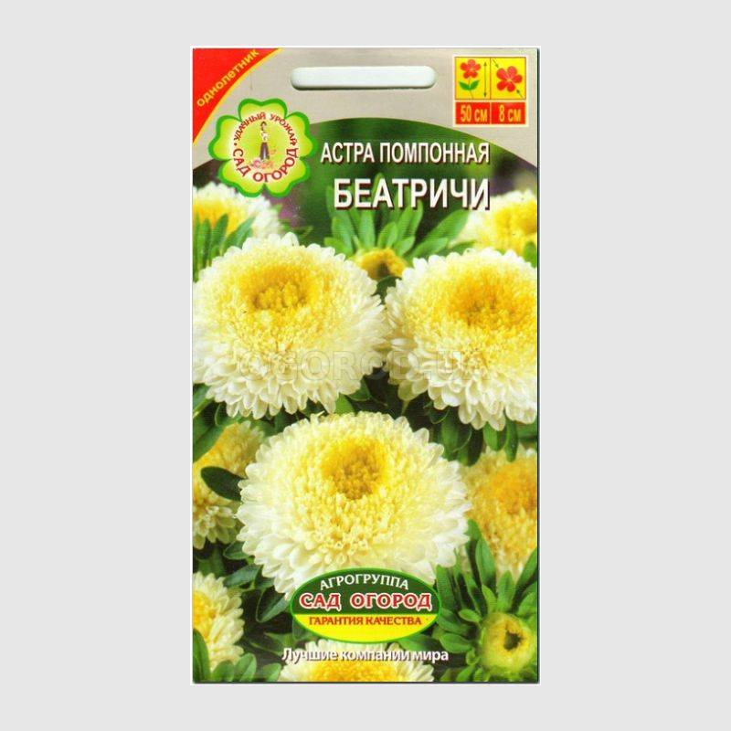 Кликните для увеличения изображения Семена астры «Беатричи», ТМ Агрогруппа «САД ОГОРОД» - 0,3 грамма
