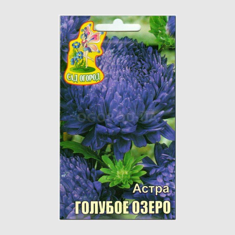Кликните для увеличения изображения Семена астры «Голубое озеро», ТМ Агрогруппа «САД ОГОРОД» - 0,3 грамма