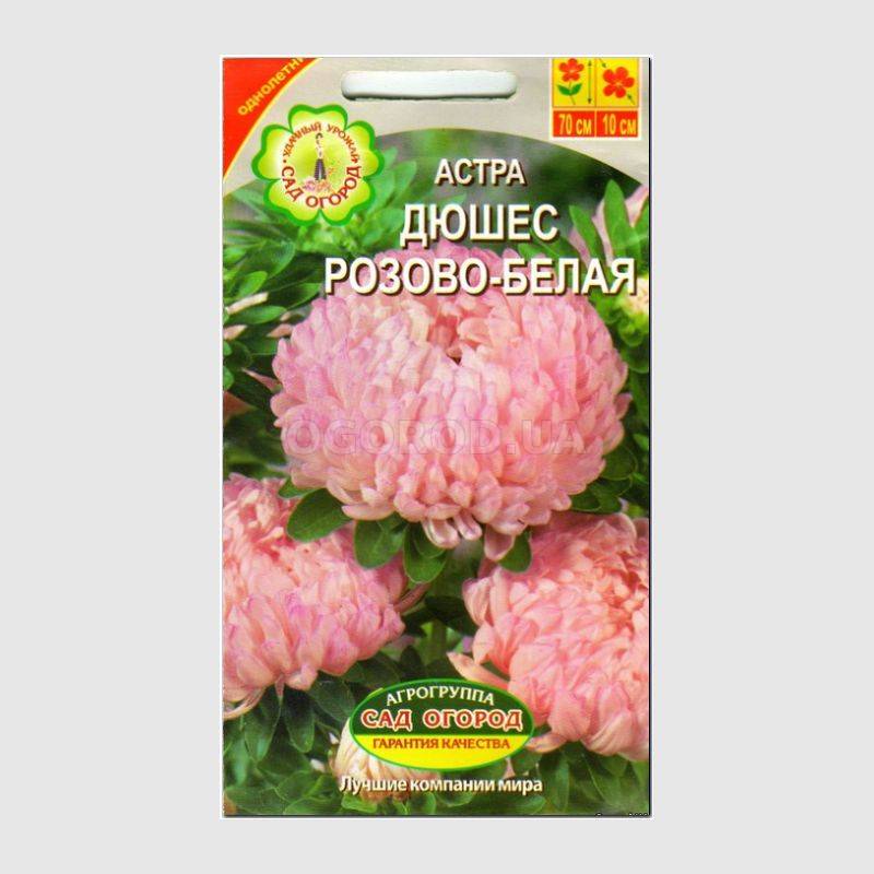 Кликните для увеличения изображения Семена астры «Дюшес Розово-белая», ТМ Агрогруппа «САД ОГОРОД» - 0,3 грамма