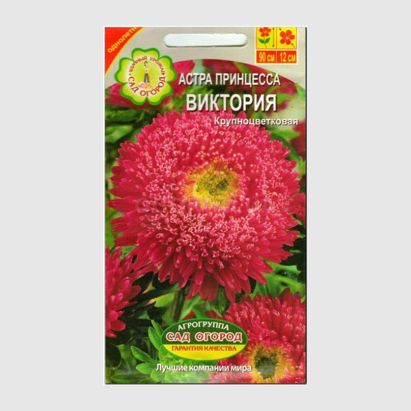 Кликните для увеличения изображения Семена астры принцесса «Виктория», ТМ Агрогруппа «САД ОГОРОД» - 0,3 грамма