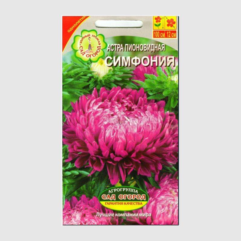 Кликните для увеличения изображения Семена астры «Симфония», ТМ Агрогруппа «САД ОГОРОД» - 0,3 грамма