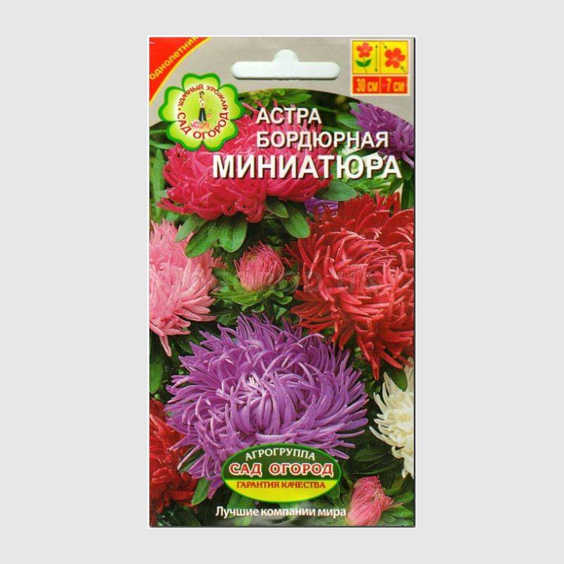 Кликните для увеличения изображения Семена астры бордюрной «Миниатюрная» смесь, ТМ Агрогруппа «САД ОГОРОД» - 0,3 грамма