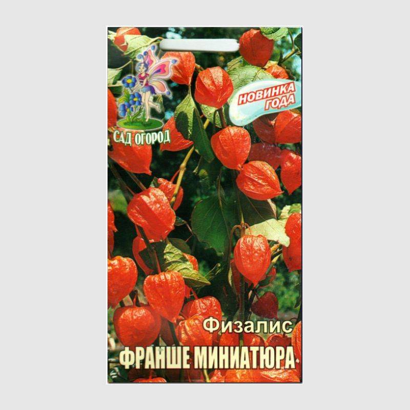 Кликните для увеличения изображения Семена физалиса «Франше Миниатюра», ТМ Агрогруппа «САД ОГОРОД» - 0,1 грамм