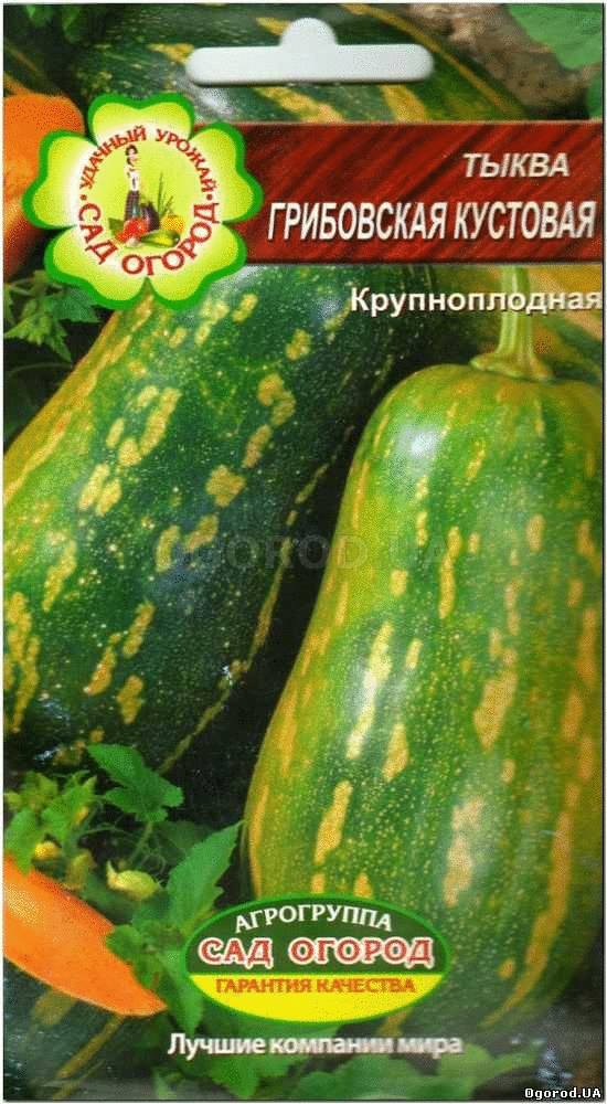 Кликните для увеличения изображения Семена тыквы «Грибовская кустовая», ТМ Агрогруппа «САД ОГОРОД» - 2 грамма