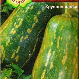 Семена тыквы «Грибовская кустовая», ТМ Агрогруппа «САД ОГОРОД» - 2 грамма