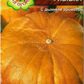 Семена тыквы «Улыбка», ТМ Агрогруппа «САД ОГОРОД» - 2 грамма