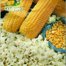 Семена кукурузы «Попкорн», ТМ Агрогруппа «САД ОГОРОД» - 4 грамма