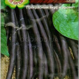 Семена фасоли «Пурпурная леди», ТМ Агрогруппа «САД ОГОРОД» - 3 грамма
