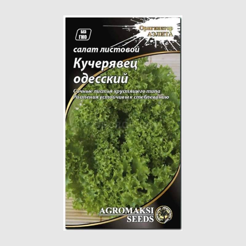 Кликните для увеличения изображения Семена салата «Кучерявец одесский», ТМ «АЭЛИТА» - 1 грамм