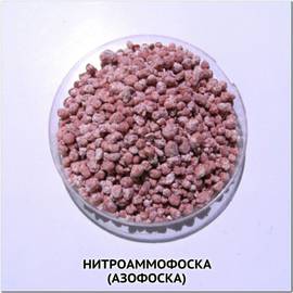 Нитроаммофоска / Азофоска, ТМ OGOROD - 1 кг (1000 грамм)