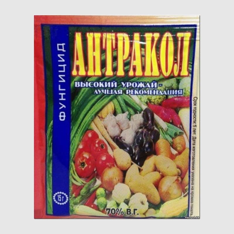 Кликните для увеличения изображения «Антракол» - фунгицид, ТМ «Волшебная грядка» - 15 грамм