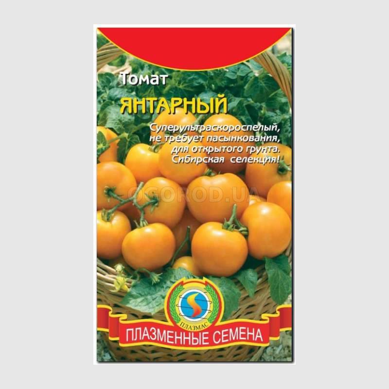 Сорт томата янтарный фото и описание