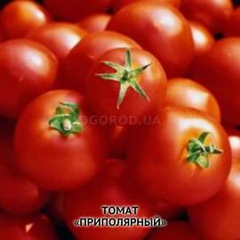 Семена томата «Приполярный», ТМ «ПЛАЗМЕННЫЕ СЕМЕНА» - 5 семян